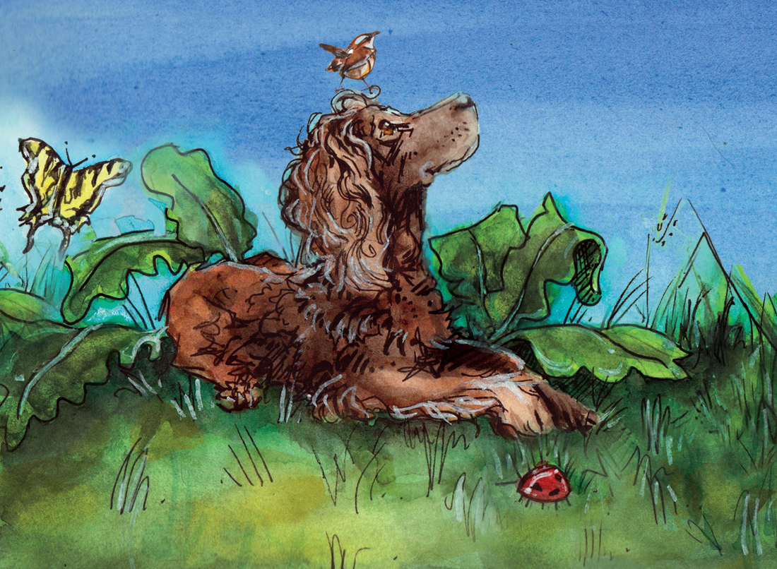 Discover South Carolina Through the Eyes of Two Brown Dogs